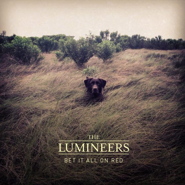 Album Title - Image 4
