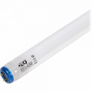 2FT KINO KF55 F40T12 SFC bleu